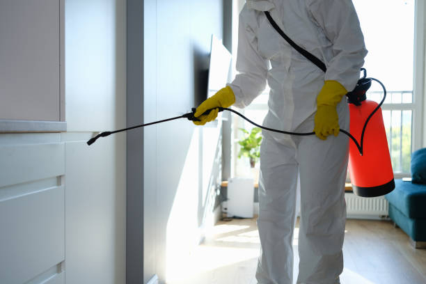 Certified Mold Removal in Tuskegee, AL