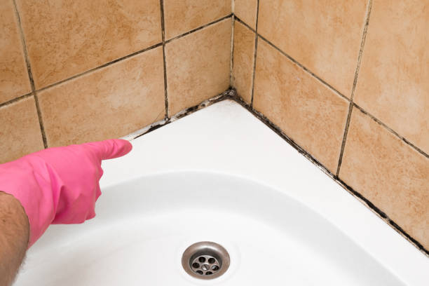 Best Home Mold Removal  in Tuskegee, AL